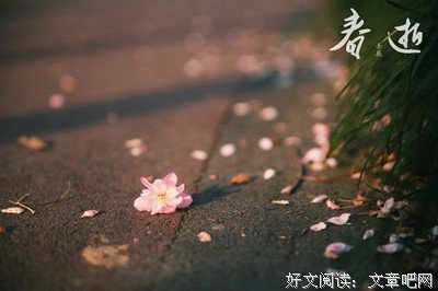 关于《花凋缘尽殇》的句子