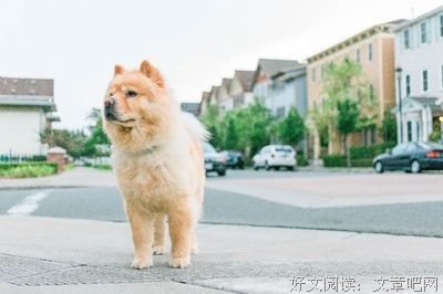 【夜听】别等老了，才明白