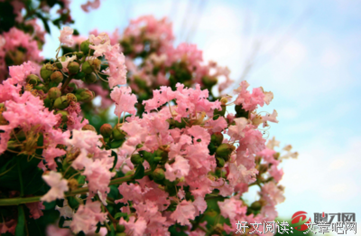 《春秋》的句子