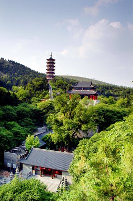 遮天蔽日的名句_关于遮天蔽日的名句