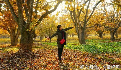 关于曦阳名言名句