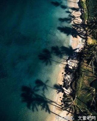 初心句子大全