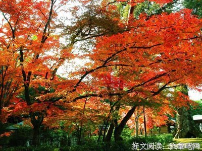 有关我言的句子