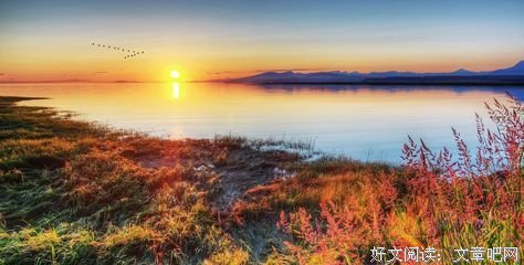 关于无所顾忌的唯美语录