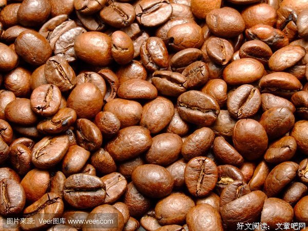 关于玛奇的格言