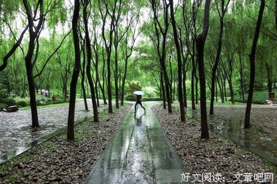 描写骄阳似火的语句摘抄