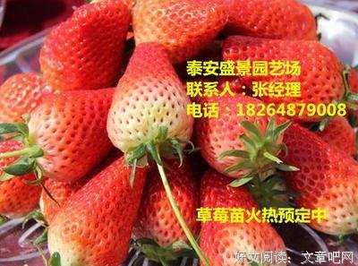 邱春旭的句子