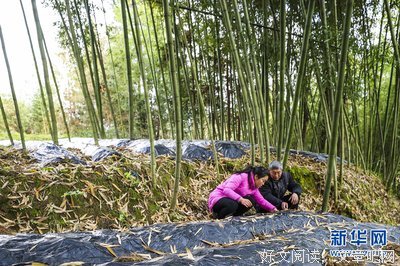 猎神刑侦笔记的读后感10篇