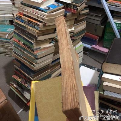 政治学大纲经典读后感10篇