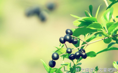 描写健康的语句摘抄