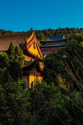 文涛的句子