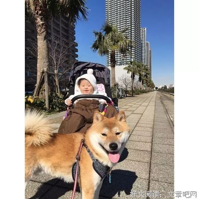 听说，你们认为我是个打娃狂魔