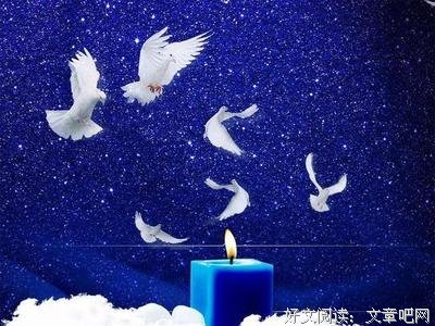 关于收藏的句子