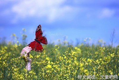 唯一句子
