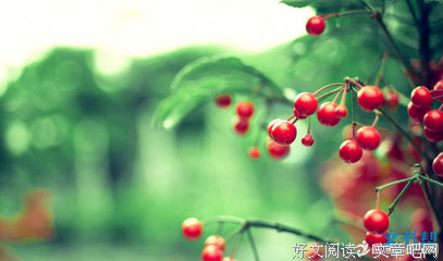 关于生命句子