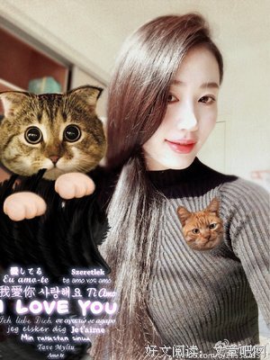 林徽因：倾我所有，许你一世温柔