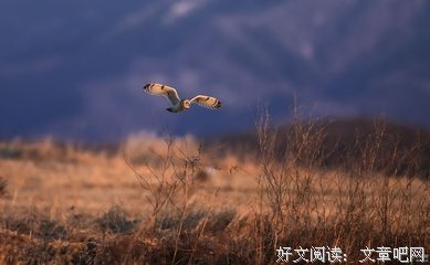 回首一心念佛【回首漫长与艰难的光明路 连载之三十七】