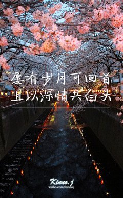 有关愿有地每之会一想为可回首，且以深情共白头的句子