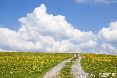 蜜汁炖鱿鱼经典读后感10篇