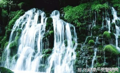 成子的名句_关于成子的名句