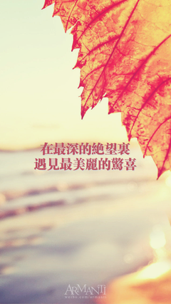 15条关于金不换的经典语句