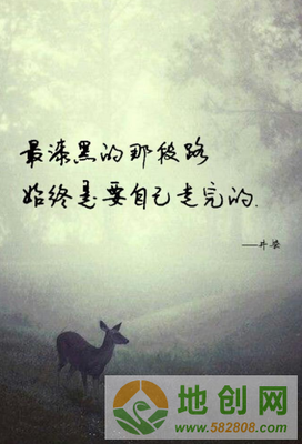 关于思许的格言