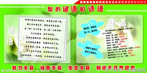 谚语