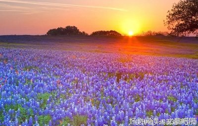 怕不待和过觉时瘦 优美的句子