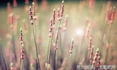 做人，良心排第一！