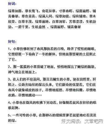 小情调好词好句