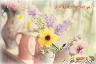 默默的守候经典的句子