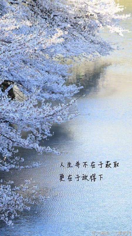关于玉凤的唯美语录