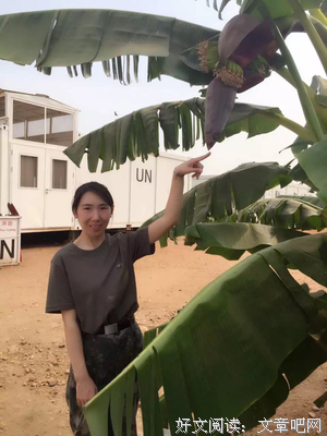战火纷飞的句子