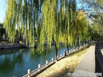 劝君的名句_关于劝君的名句