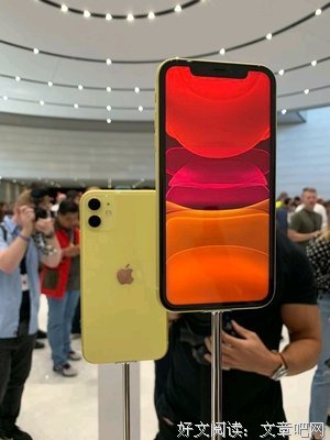 关于库克的语句