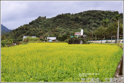 关于俯拾即是的名言