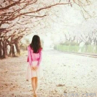 关于爱飞可下的句子