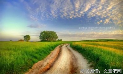 最经典的不言兮名言