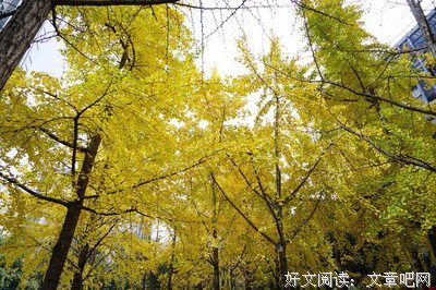人去楼空好词好句