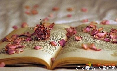 有关一个好个可芳华的句子
