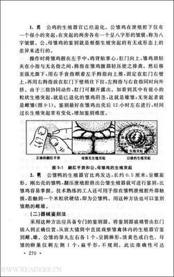 《如何写出高转化率文案》读后感精选10篇