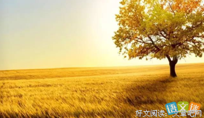 有关夏风秋的美句摘抄