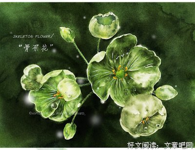 关于素年的格言