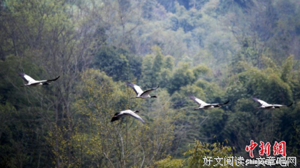 关于悠闲自得的名言