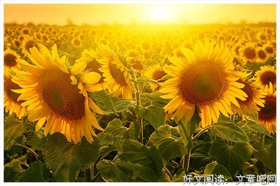 关于拍案而起的唯美语录