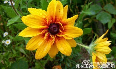 指名道姓的句子