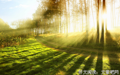 十年后最值钱的东西 ，不是房子和存款，而是……
