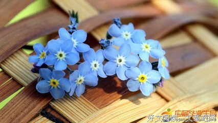 关于点点滴滴的句子