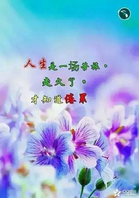 不敢回头句子大全