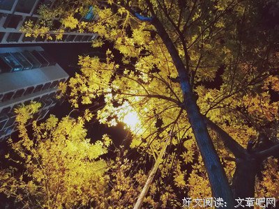 九卿臣名句欣赏